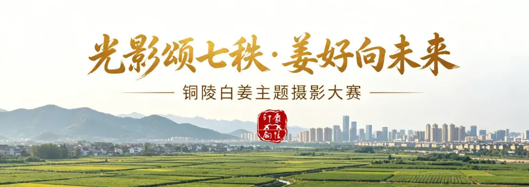 中考落幕 在市四中、市十中门口拍到…-第4张图片-四季读书网
