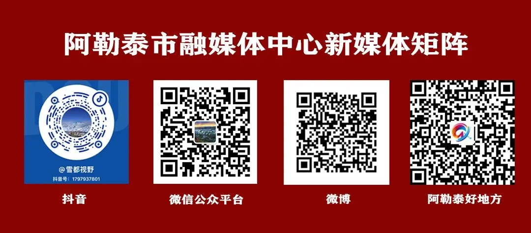【重要通知】阿勒泰市2026年中考服务攻略!!!-第17张图片-四季读书网 【重要通知】阿勒泰市2026年中考服务攻略!!!-第17张图片-四季读书网