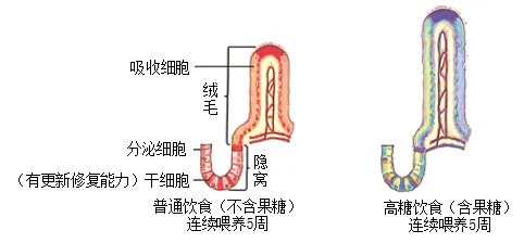 2026年呼和浩特市学业水平模拟考试(一)生物学部分-第4张图片-四季读书网 2026年呼和浩特市学业水平模拟考试(一)生物学部分-第4张图片-四季读书网