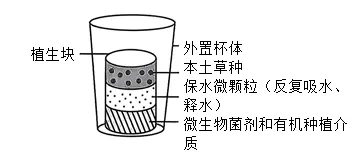 2026年呼和浩特市学业水平模拟考试(一)生物学部分-第8张图片-四季读书网 2026年呼和浩特市学业水平模拟考试(一)生物学部分-第8张图片-四季读书网