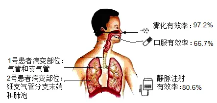 2026年呼和浩特市学业水平模拟考试(一)生物学部分-第9张图片-四季读书网 2026年呼和浩特市学业水平模拟考试(一)生物学部分-第9张图片-四季读书网