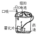 2026年呼和浩特市学业水平模拟考试(一)生物学部分-第10张图片-四季读书网 2026年呼和浩特市学业水平模拟考试(一)生物学部分-第10张图片-四季读书网