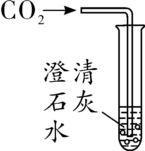 2026年中考考前必会知识专练教材重点实验-第18张图片-四季读书网 2026年中考考前必会知识专练教材重点实验-第18张图片-四季读书网
