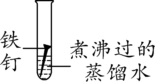 2026年中考考前必会知识专练教材重点实验-第29张图片-四季读书网 2026年中考考前必会知识专练教材重点实验-第29张图片-四季读书网