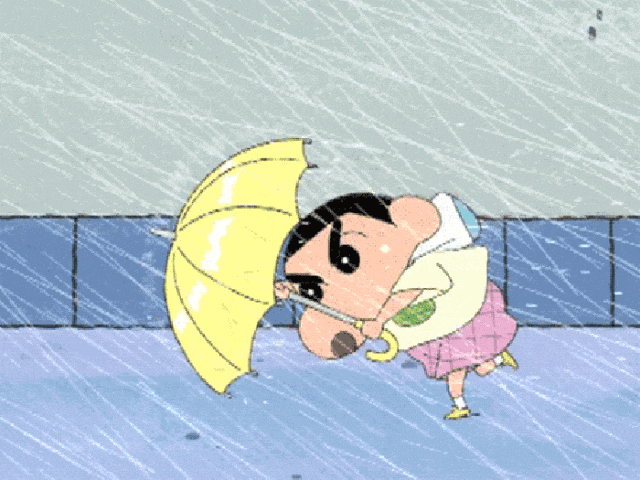 明日入梅!崇明端午、中考雨水不断,出行请注意-第3张图片-四季读书网 明日入梅!崇明端午、中考雨水不断,出行请注意-第3张图片-四季读书网