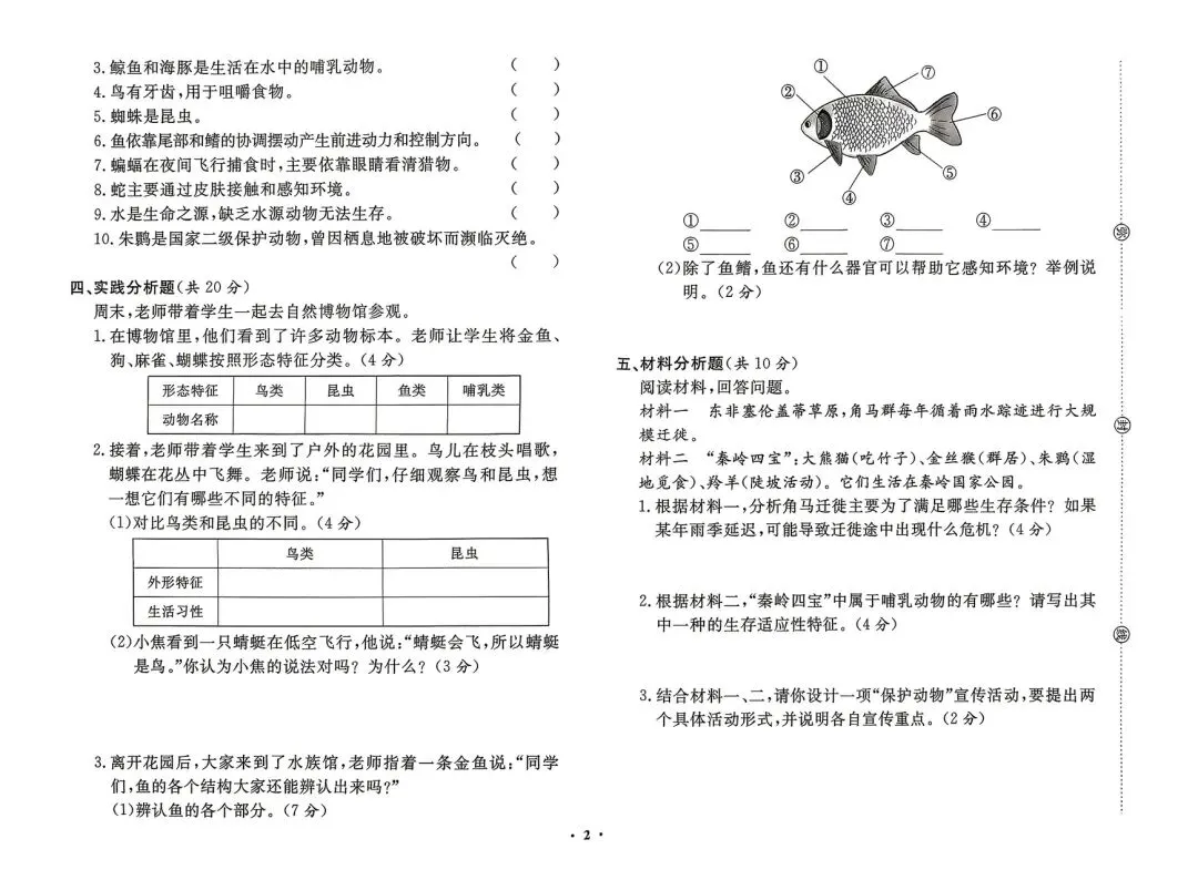 三年级下册粤教版科学期末复习试卷-第2张图片-四季读书网