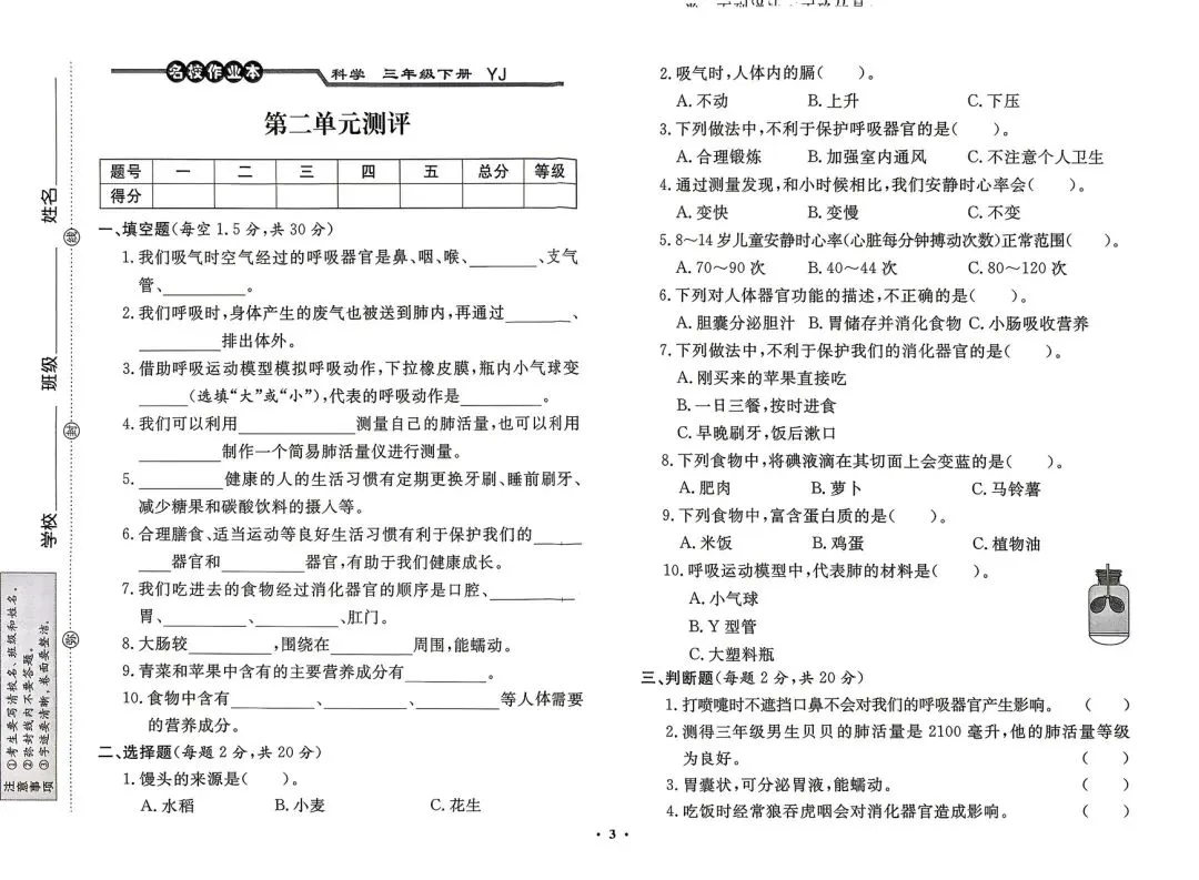 三年级下册粤教版科学期末复习试卷-第3张图片-四季读书网