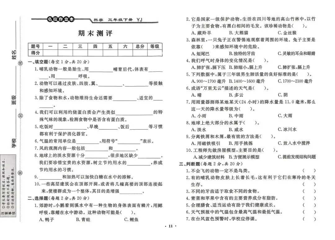 三年级下册粤教版科学期末复习试卷-第11张图片-四季读书网