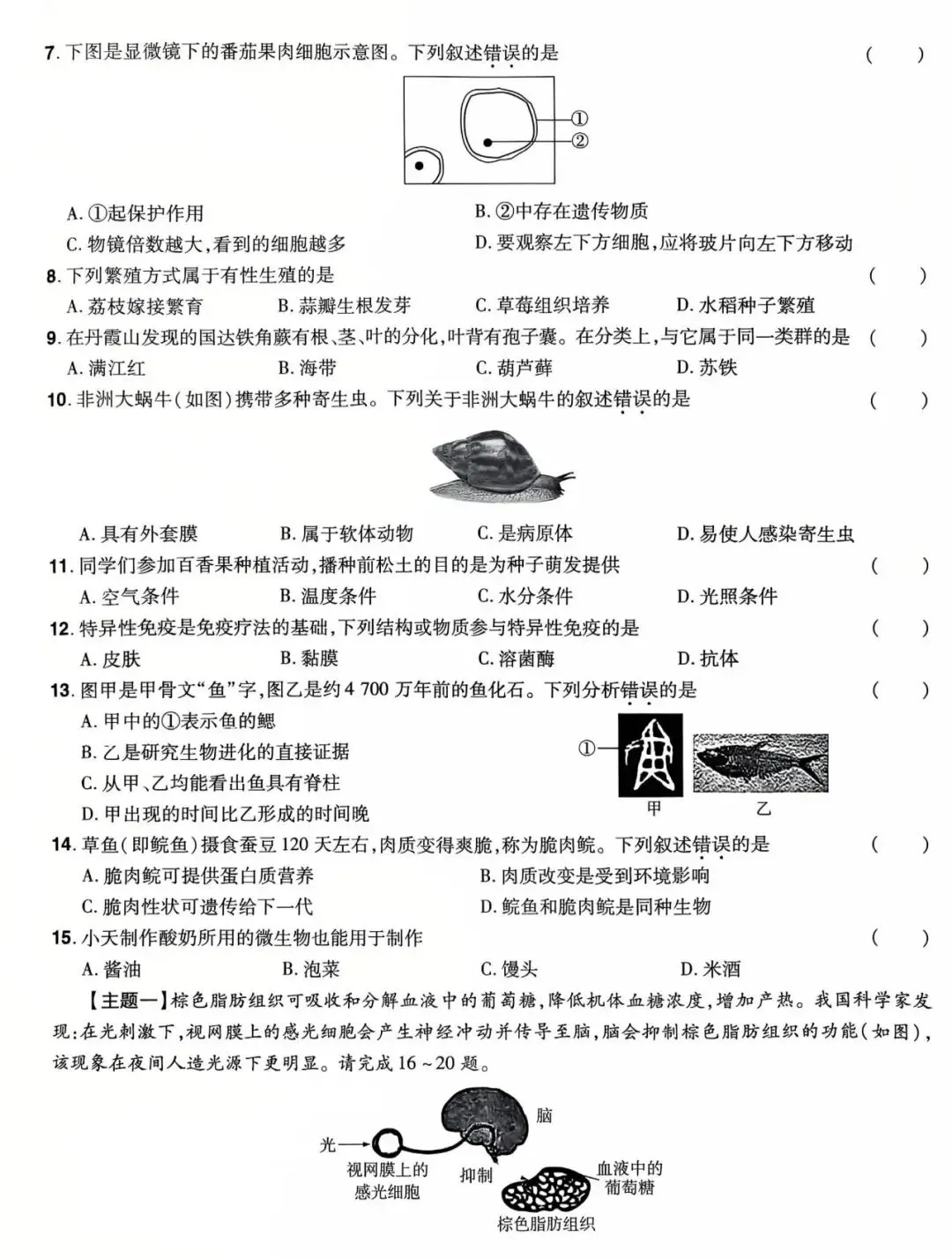真题训练:2024年广东省中考(会考)生物-第2张图片-四季读书网