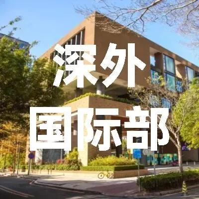 2026深圳中考在即,冲刺公立国际部有哪些选择?-第17张图片-四季读书网 2026深圳中考在即,冲刺公立国际部有哪些选择?-第17张图片-四季读书网
