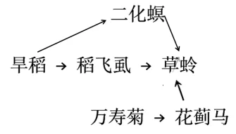 2026年高考黑吉辽蒙卷生物高考真题(含答案)-第8张图片-四季读书网 2026年高考黑吉辽蒙卷生物高考真题(含答案)-第8张图片-四季读书网