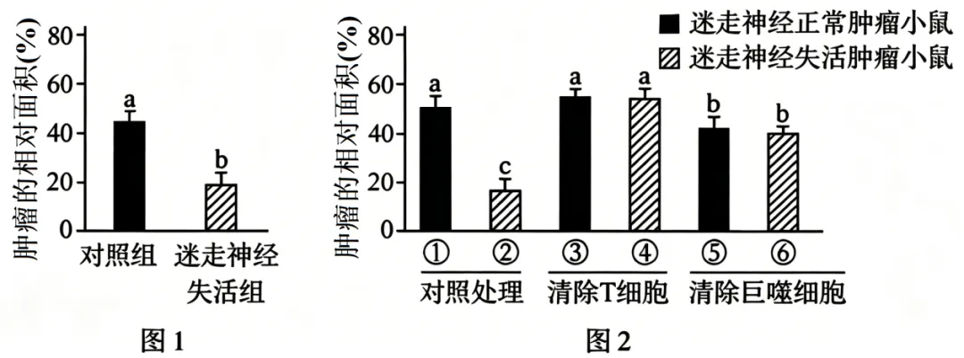2026年高考黑吉辽蒙卷生物高考真题(含答案)-第9张图片-四季读书网 2026年高考黑吉辽蒙卷生物高考真题(含答案)-第9张图片-四季读书网