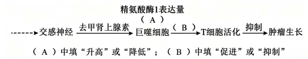 2026年高考黑吉辽蒙卷生物高考真题(含答案)-第10张图片-四季读书网 2026年高考黑吉辽蒙卷生物高考真题(含答案)-第10张图片-四季读书网