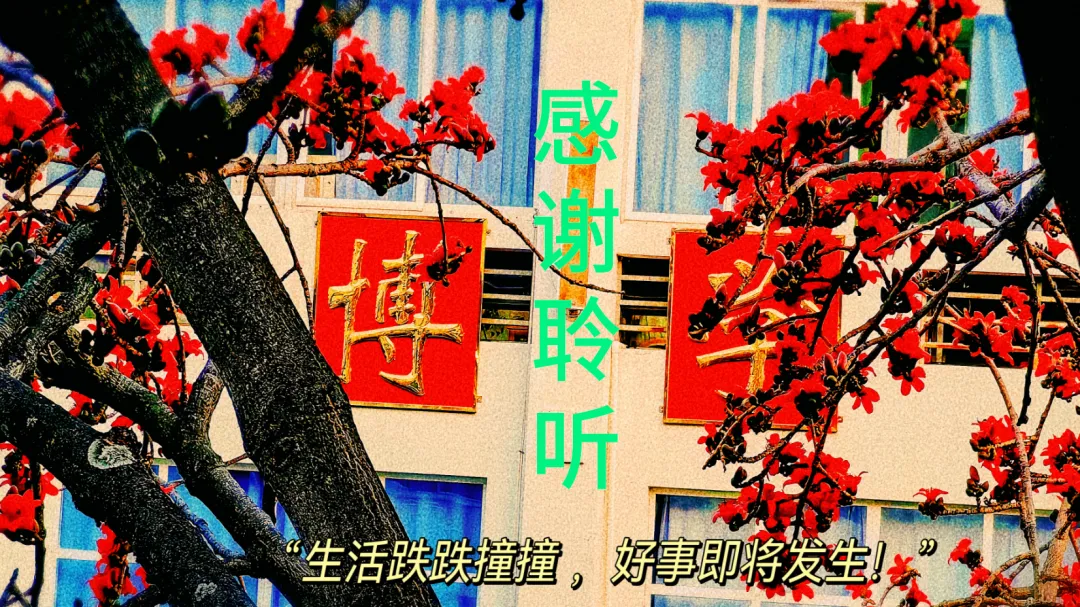 2026年云南物理真题第13-15题深度分析-第23张图片-四季读书网
