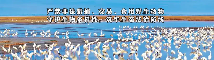 中考期间,章贡区这些路段实行交通管制!-第2张图片-四季读书网 中考期间,章贡区这些路段实行交通管制!-第2张图片-四季读书网