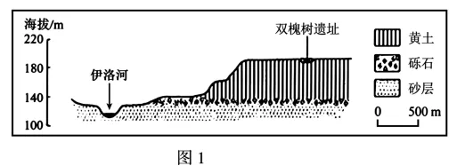 2026年高考西北卷(陕晋宁青卷)地理真题及参考答案-第7张图片-四季读书网 2026年高考西北卷(陕晋宁青卷)地理真题及参考答案-第7张图片-四季读书网