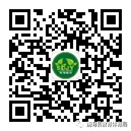 【安全提醒】2026年中考后安全教育致学生及家长的一封信-第7张图片-四季读书网