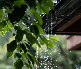 雨水将常驻?端午+中考天气如何-第1张图片-四季读书网 雨水将常驻?端午+中考天气如何-第1张图片-四季读书网