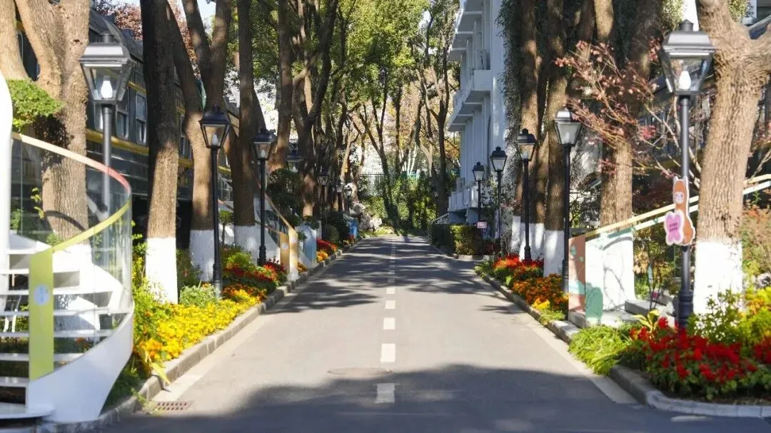 南师大附校中日班|中考择校 3W1H,我们适合什么样的孩子?-第6张图片-四季读书网 南师大附校中日班|中考择校 3W1H,我们适合什么样的孩子?-第6张图片-四季读书网