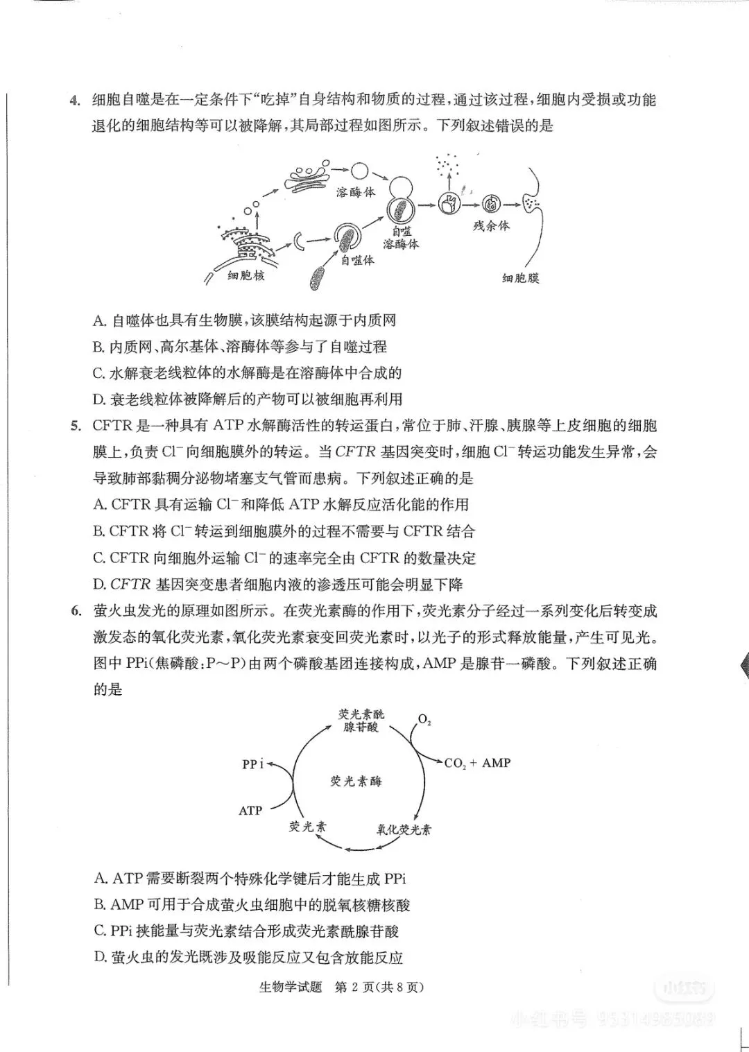 高二期末倒计时丨2026届成都零诊全科试卷+参考答案,收藏周末练-第42张图片-四季读书网 高二期末倒计时丨2026届成都零诊全科试卷+参考答案,收藏周末练-第42张图片-四季读书网