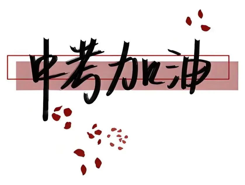 【要事贴】宝山区中考考点周边道路交通管制信息-第19张图片-四季读书网