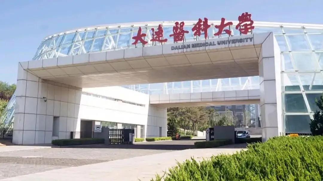 护理择校必看(六)大连医科大学附复试真题-第1张图片-四季读书网