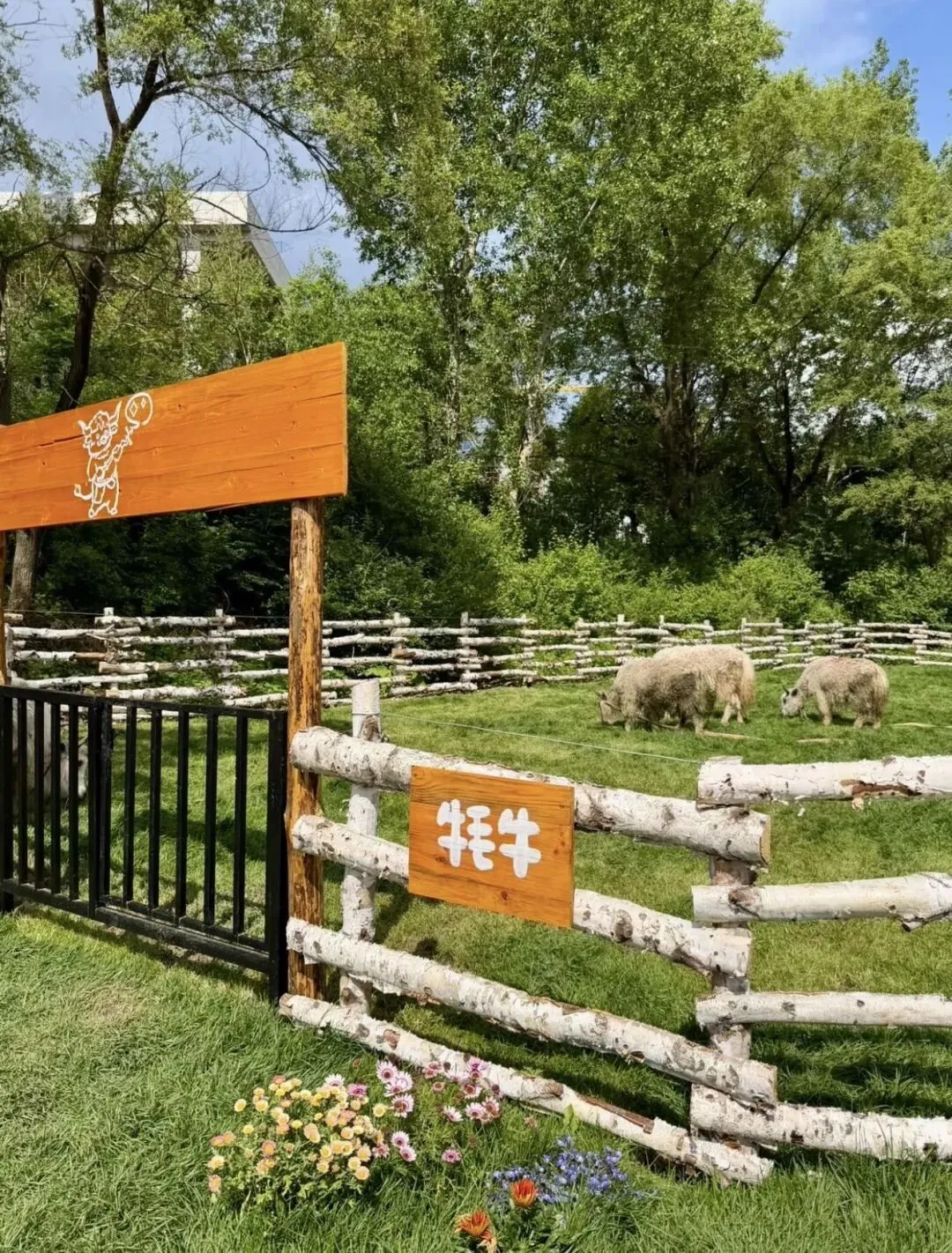 【中考假单日研学】牧场撒欢儿奇遇记|萌宠定向+动物科普+萌宠互动+彩虹滑道+森林小火车+霍比特小屋+团体拓展-第10张图片-四季读书网 【中考假单日研学】牧场撒欢儿奇遇记|萌宠定向+动物科普+萌宠互动+彩虹滑道+森林小火车+霍比特小屋+团体拓展-第10张图片-四季读书网