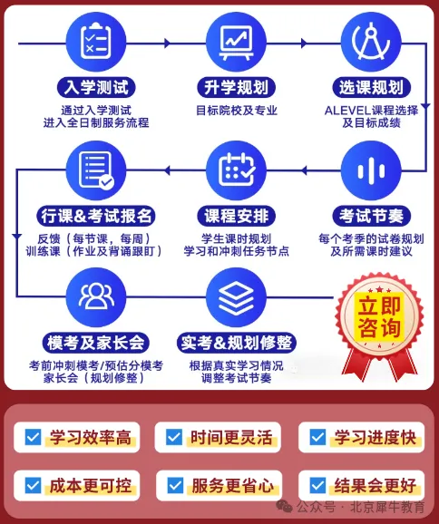 中考后不理想,想转轨国际赛道?犀牛ALevel脱产全日制培训课程比国际学校更划算!-第21张图片-四季读书网