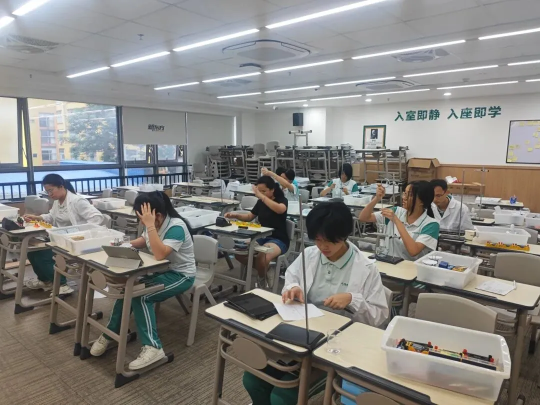 好燃!回顾2026届中考学子的高光时刻!-第53张图片-四季读书网