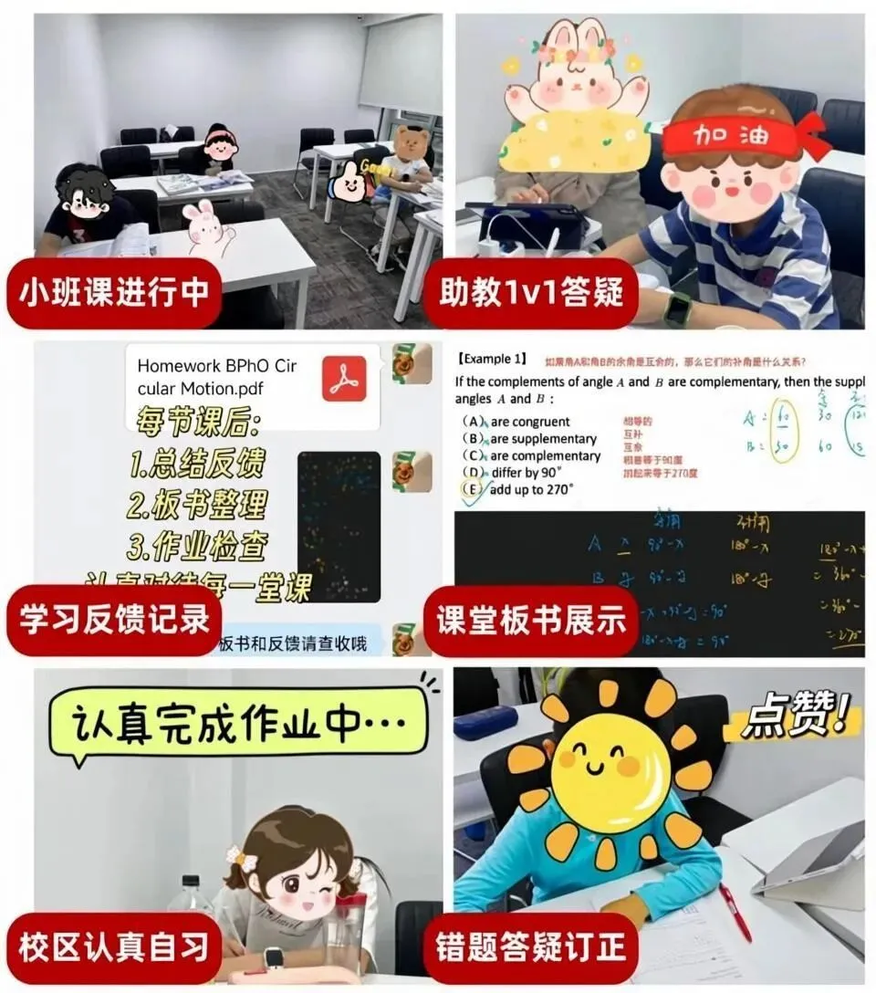 中考出分在即!转轨国际学校最后窗口期,ALevel/AP/IB怎么选?犀牛暑期班助你无缝衔接!-第14张图片-四季读书网