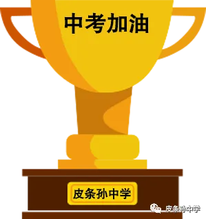 爱心送考车队护佑皮条孙镇学子顺利参加中考-第3张图片-四季读书网
