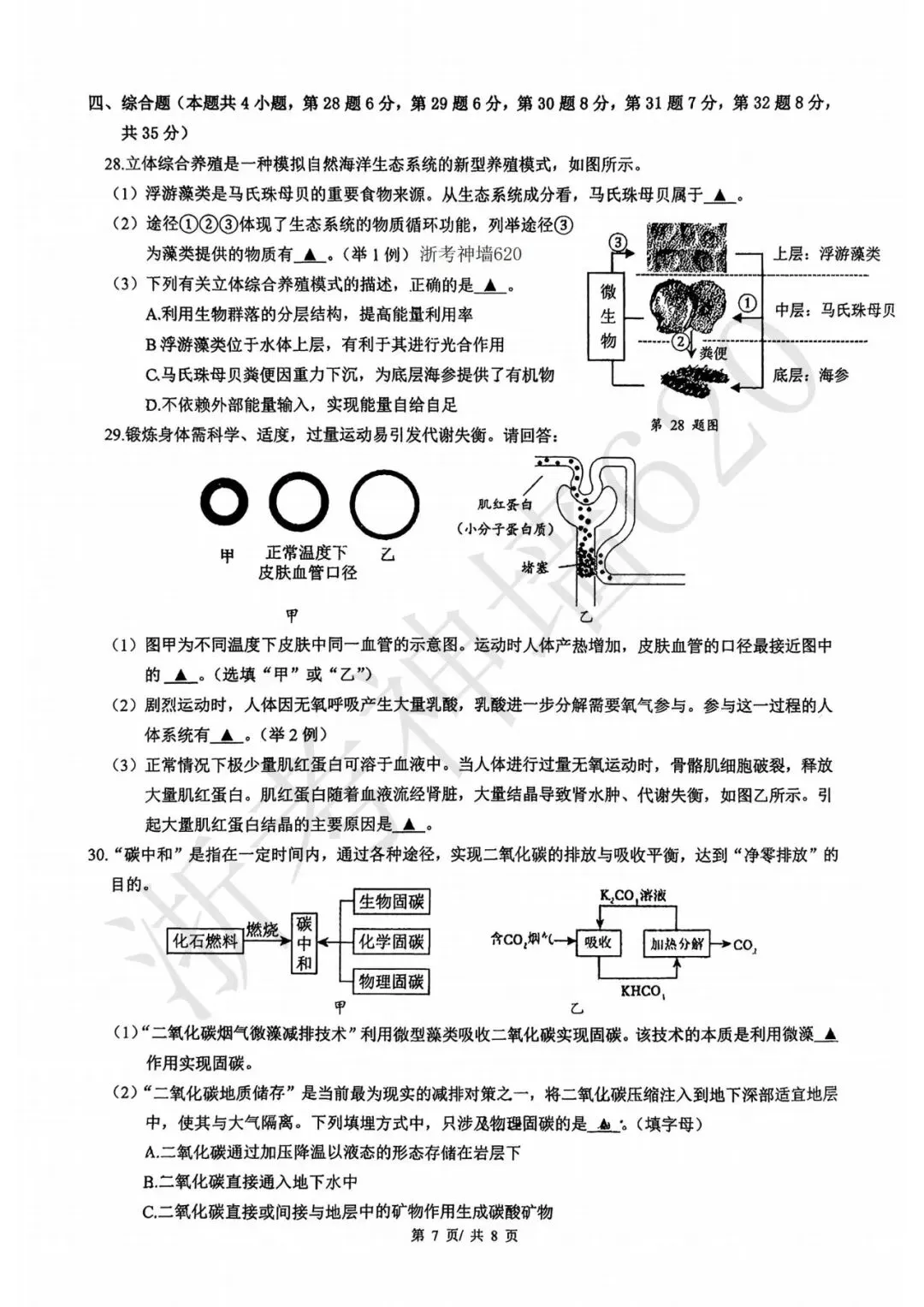 模拟考|2026年6月温州实验中学三模(全科含部分答案)-第39张图片-四季读书网