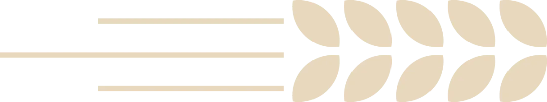全套 BPhO 英国物理竞赛真题|R0+R1+R2 试卷 + 答案 免费领【2016-2025】-第8张图片-四季读书网 全套 BPhO 英国物理竞赛真题|R0+R1+R2 试卷 + 答案 免费领【2016-2025】-第8张图片-四季读书网