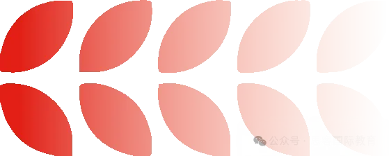 全套 BPhO 英国物理竞赛真题|R0+R1+R2 试卷 + 答案 免费领【2016-2025】-第15张图片-四季读书网 全套 BPhO 英国物理竞赛真题|R0+R1+R2 试卷 + 答案 免费领【2016-2025】-第15张图片-四季读书网