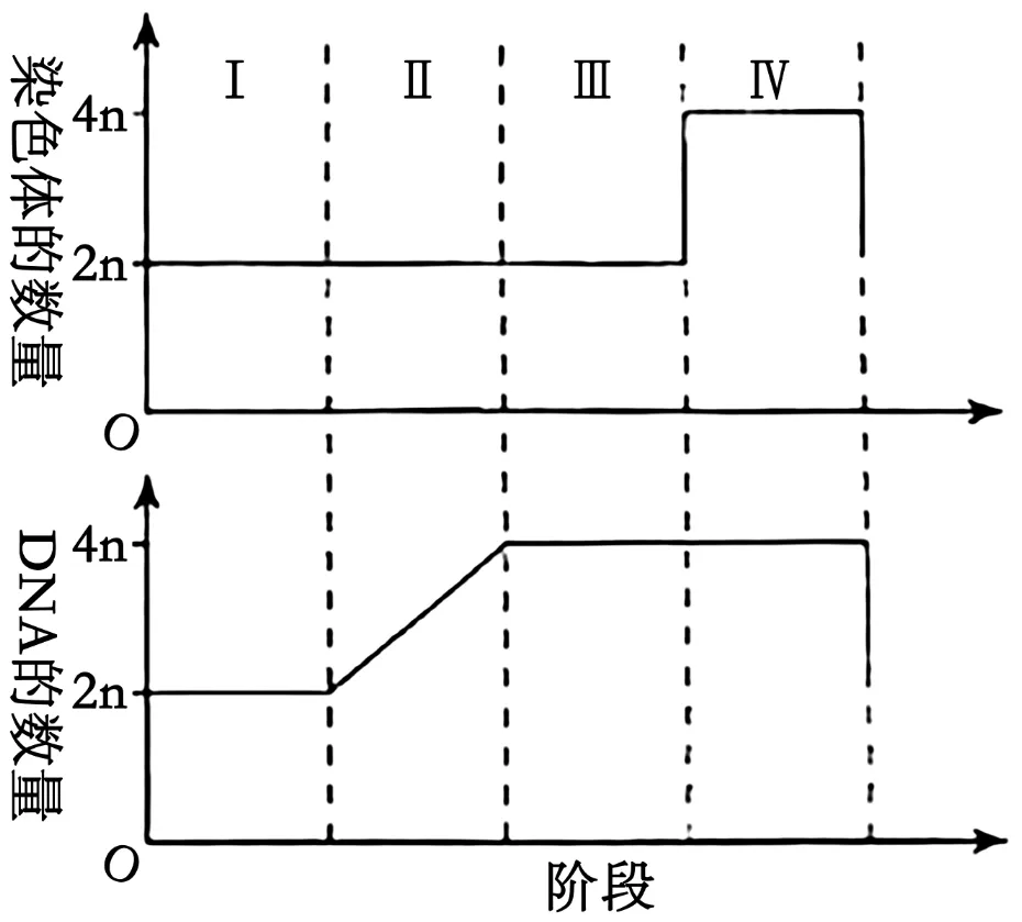 2026年高考河南卷生物高考真题及解析-第6张图片-四季读书网
