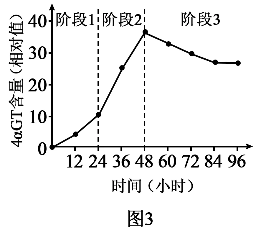 2026年高考河南卷生物高考真题及解析-第12张图片-四季读书网