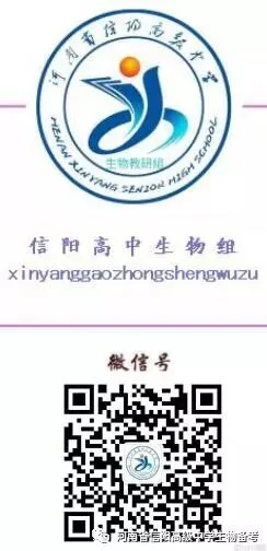 2026年高考河南卷生物高考真题及解析-第15张图片-四季读书网