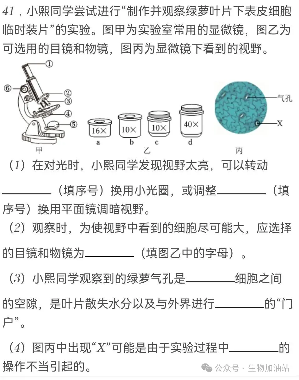 2026年江苏省苏州市中考生物试卷+答案(2026.6)-第14张图片-四季读书网 2026年江苏省苏州市中考生物试卷+答案(2026.6)-第14张图片-四季读书网