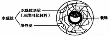 (word版)2026高考生物真题与答案(黑吉辽蒙)可下载打印-第1张图片-四季读书网