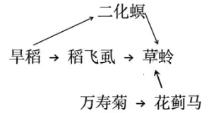(word版)2026高考生物真题与答案(黑吉辽蒙)可下载打印-第12张图片-四季读书网