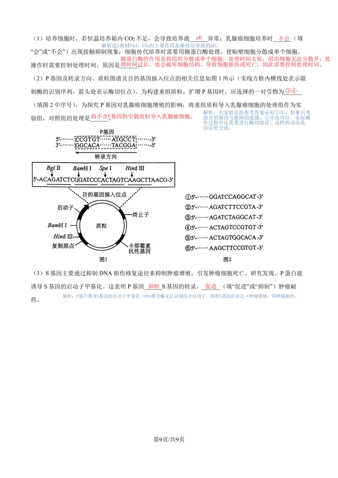 【高考真题】2026年安徽卷生物参考答案-第9张图片-四季读书网