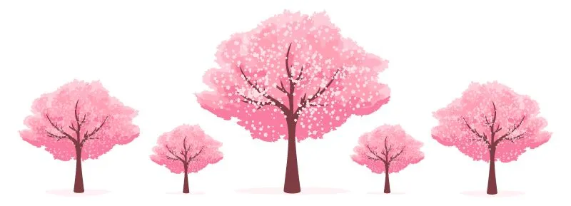 研真题悟课标 展灵动师者风采—— 汝州市实验中学 161 灵动课堂赛课复赛圆满落幕-第8张图片-四季读书网