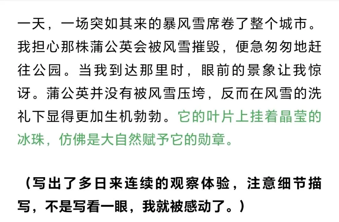 中考主题范文4️⃣:《冬日里的坚持:蒲公英的绽放》-第2张图片-四季读书网