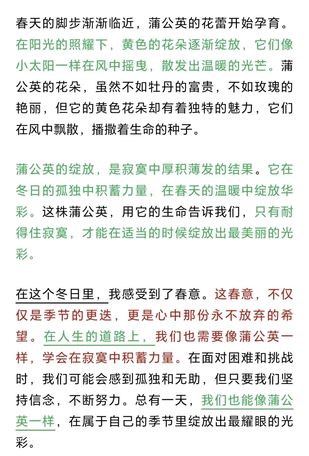 中考主题范文4️⃣:《冬日里的坚持:蒲公英的绽放》-第4张图片-四季读书网