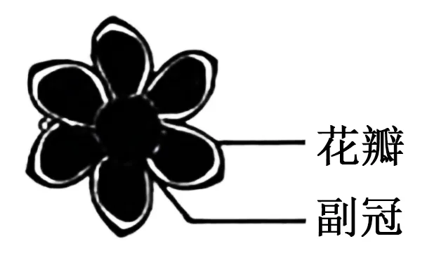 2026年高考生物黑吉辽蒙卷(真题+答案+详解+知识点溯源)(附:下载链接)-第6张图片-四季读书网 2026年高考生物黑吉辽蒙卷(真题+答案+详解+知识点溯源)(附:下载链接)-第6张图片-四季读书网