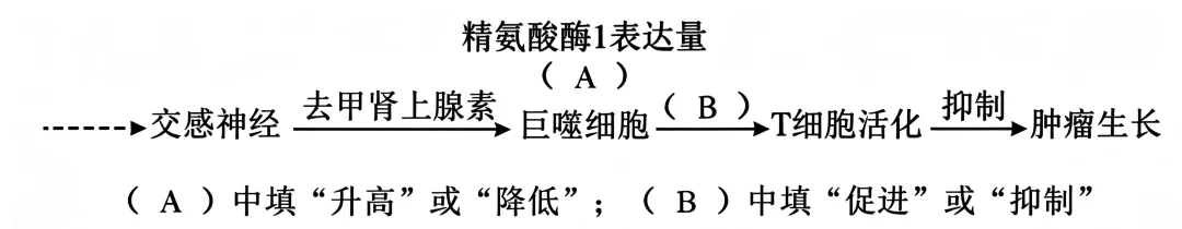 2026年高考生物黑吉辽蒙卷(真题+答案+详解+知识点溯源)(附:下载链接)-第10张图片-四季读书网 2026年高考生物黑吉辽蒙卷(真题+答案+详解+知识点溯源)(附:下载链接)-第10张图片-四季读书网