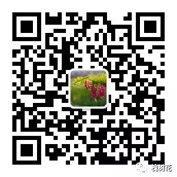 中考下水文‖武庆鸿:人生有声有色-第5张图片-四季读书网