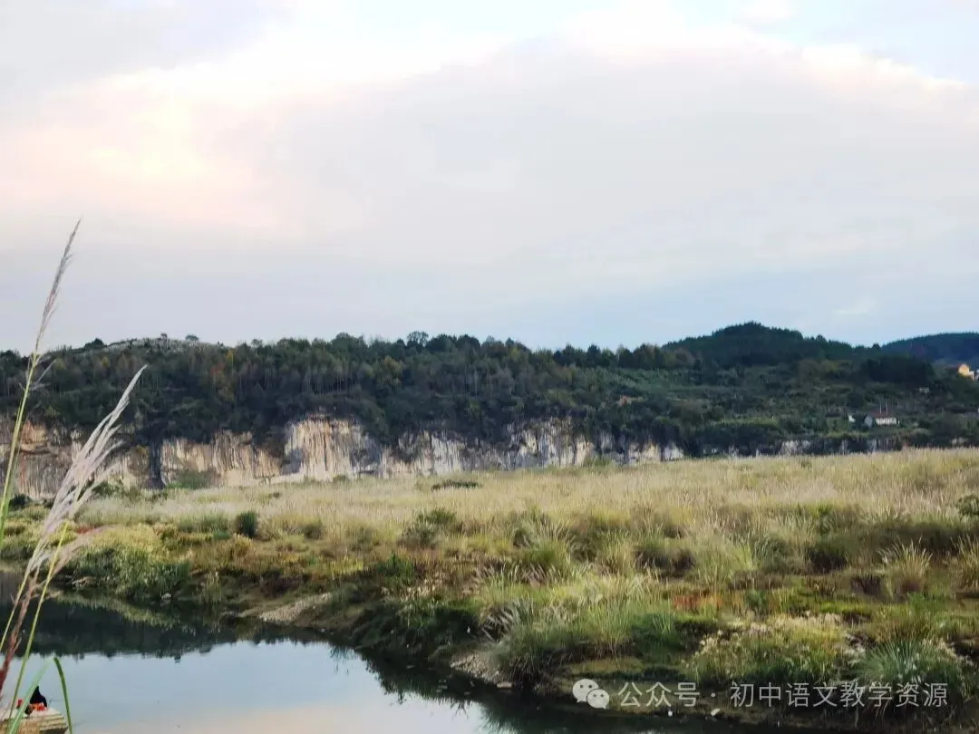 全国各地中考默写真题精选-第1张图片-四季读书网 全国各地中考默写真题精选-第1张图片-四季读书网
