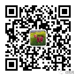 中考下水文‖武庆鸿:人生有声有色-第6张图片-四季读书网