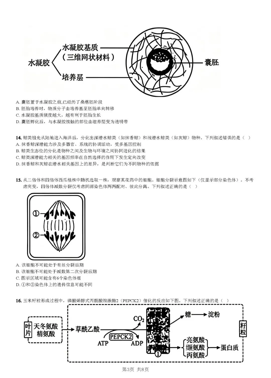 2026黑吉辽蒙生物高考真题(解析版)-第3张图片-四季读书网